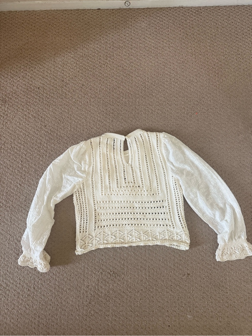 Zara White Crochet & Eyelet Long-Sleeve cropped Top - Picture 2 of 5